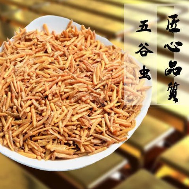 无骨虫食用干净五谷虫干黄金无谷虫蛆蝇蛆干