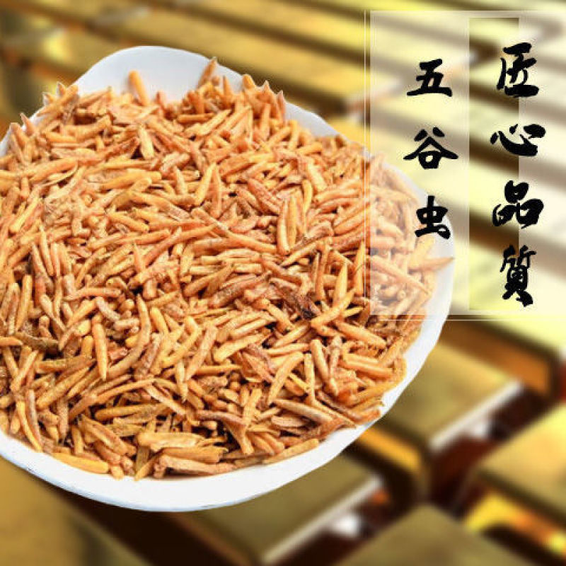 无骨虫食用干净五谷虫干黄金无谷虫蛆蝇蛆干