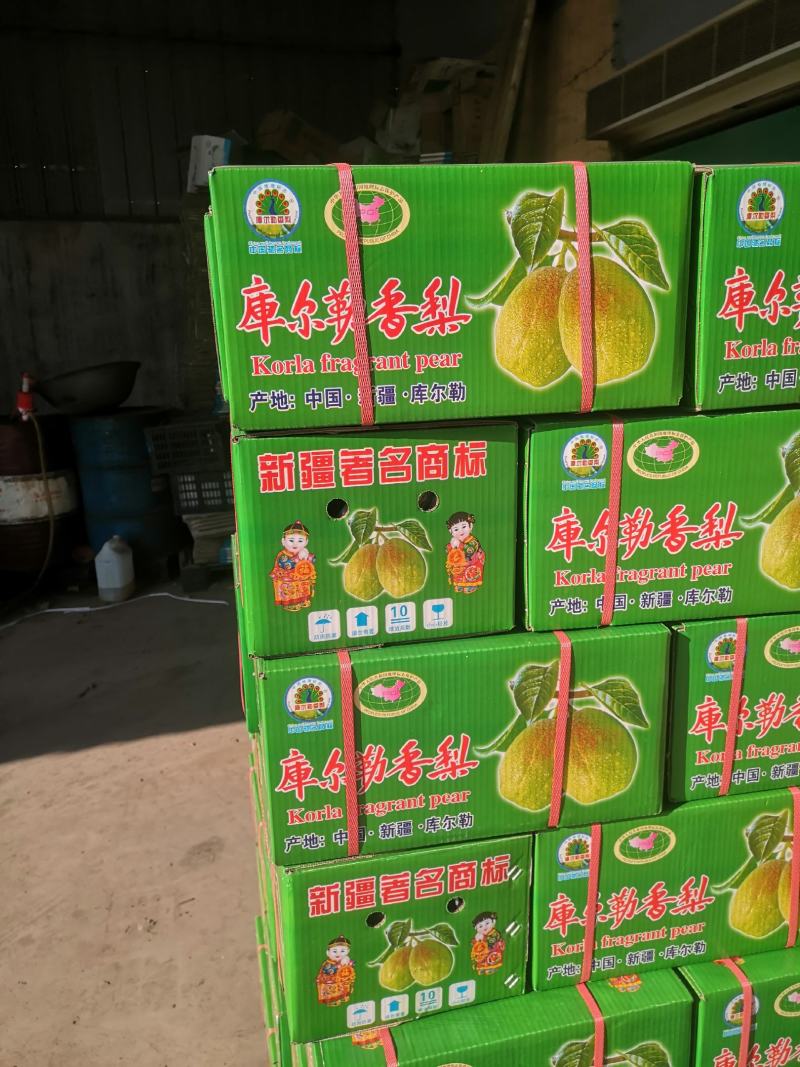 河北深州黄冠梨大量上市了，有想法的老板连系