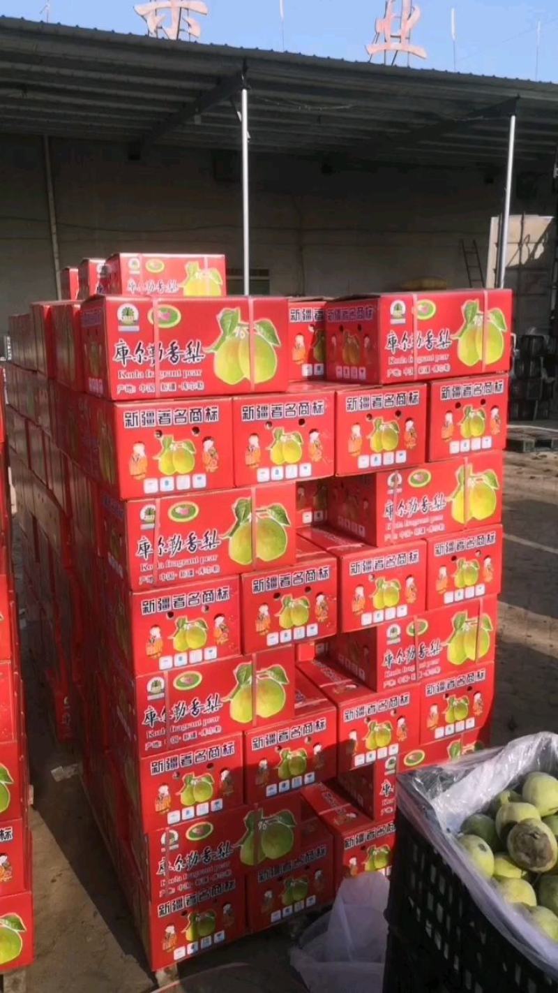 河北深州黄冠梨大量上市了，有想法的老板连系