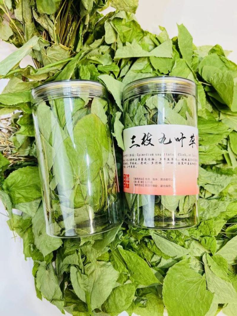 【三枝九叶草】长白山大自然野生淫羊藿三枝九叶草泡酒