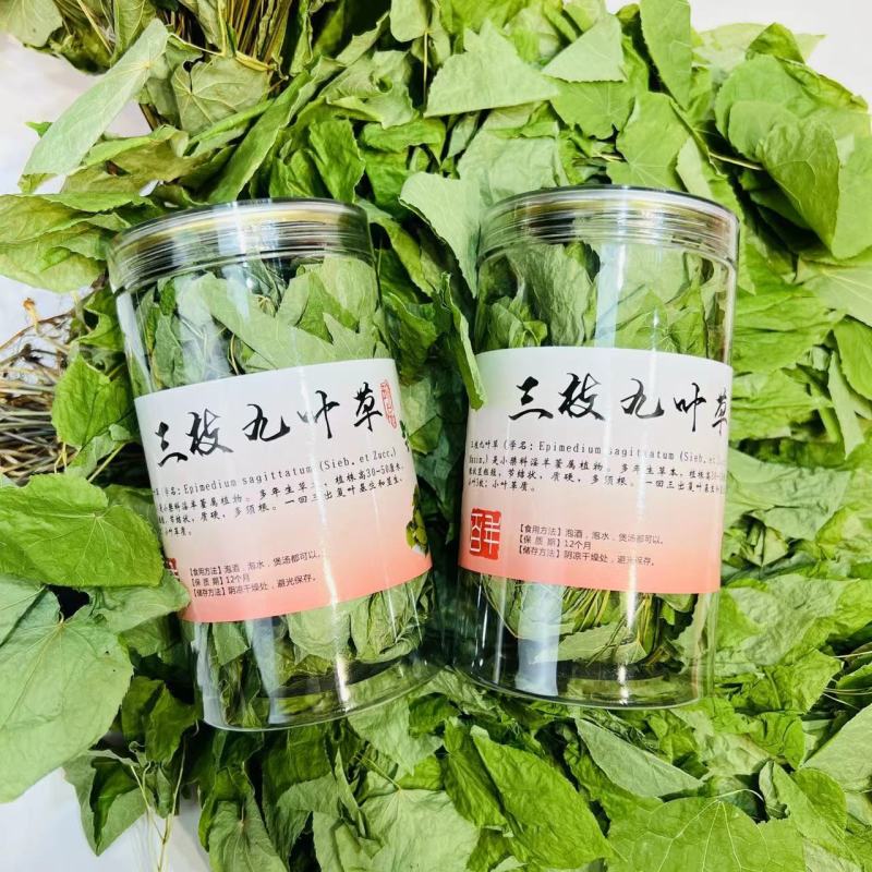 【三枝九叶草】长白山大自然野生淫羊藿三枝九叶草泡酒