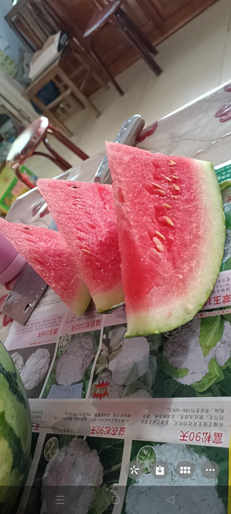 皮薄肉甜的甜王西瓜