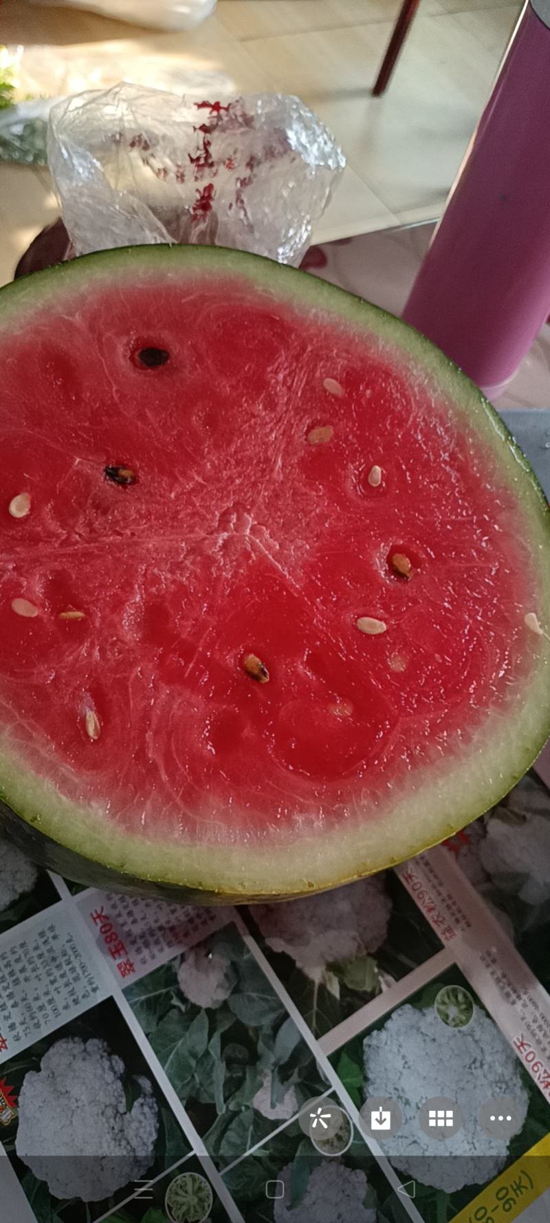皮薄肉甜的甜王西瓜