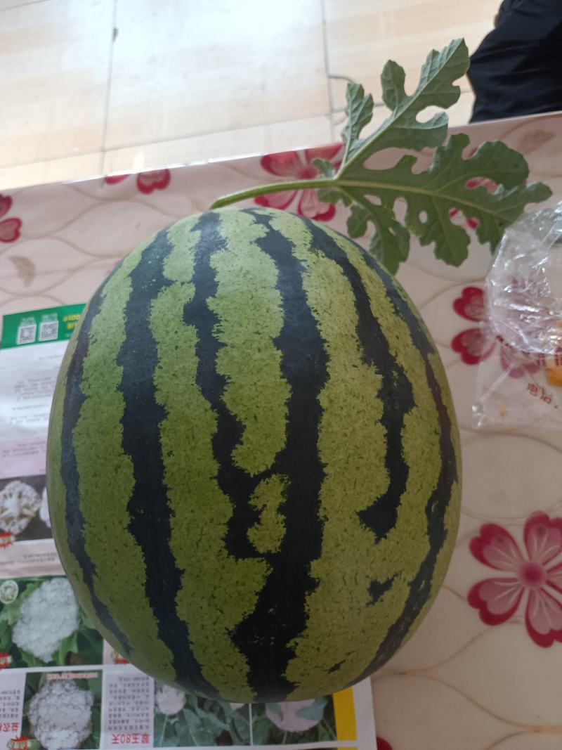 皮薄肉甜的甜王西瓜
