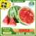 精品美都热新上市开园头瓜皮薄多肉价格美丽