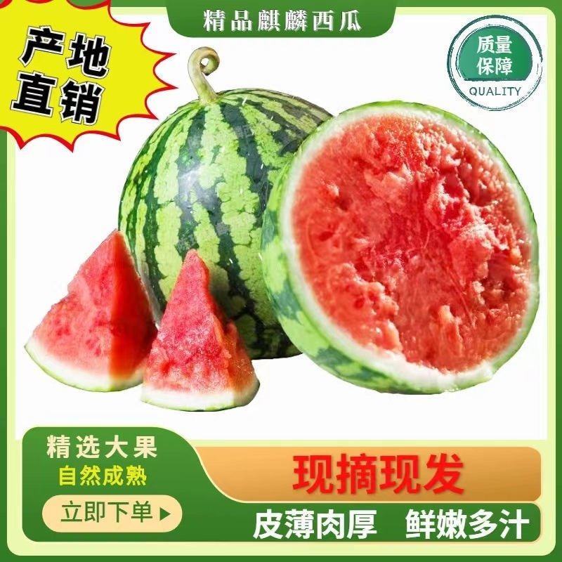 精品美都热新上市开园头瓜皮薄多肉价格美丽