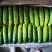 旱黄瓜产地直供顶花带刺高品质