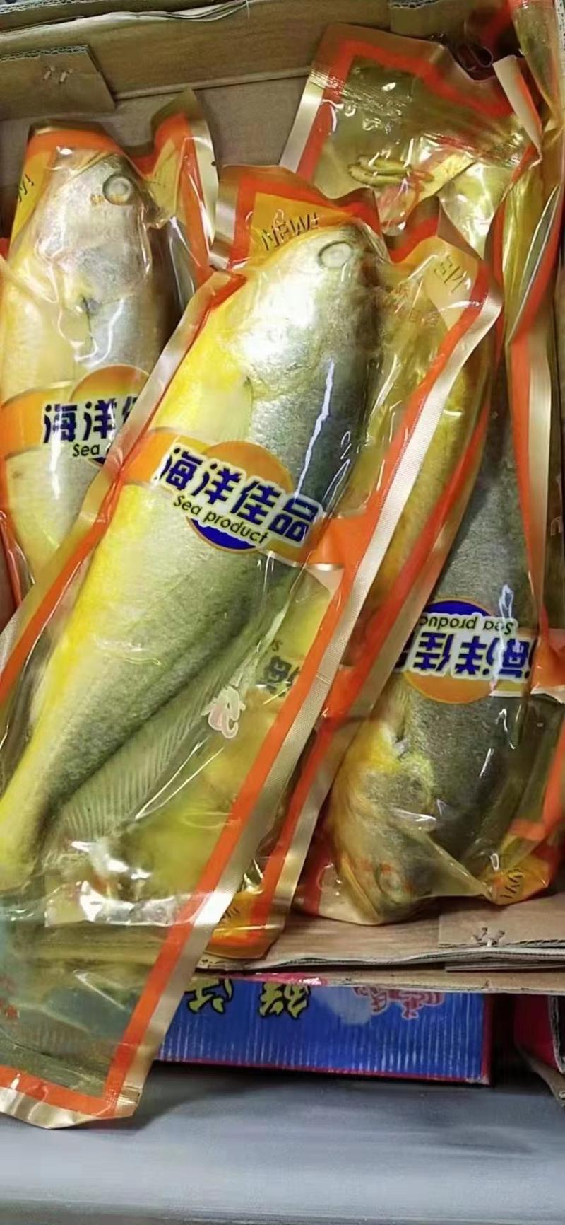 东海真空包装深海大黄鱼产地供应，批发商一手货源18斤