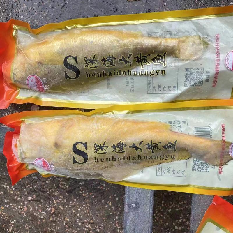 东海真空包装深海大黄鱼产地供应，批发商一手货源18斤