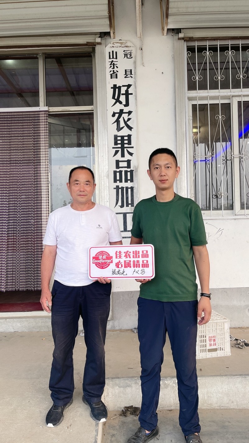 秋月梨产地山东秋月梨机选秋月梨专业代收加工冷藏