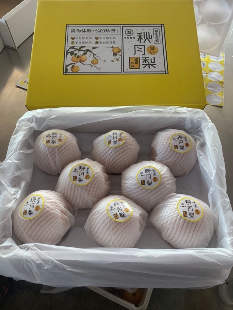 秋月梨产地山东秋月梨机选秋月梨专业代收加工冷藏