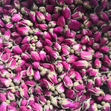 玫瑰花苦水玫瑰批发玫瑰量大从优质量保证