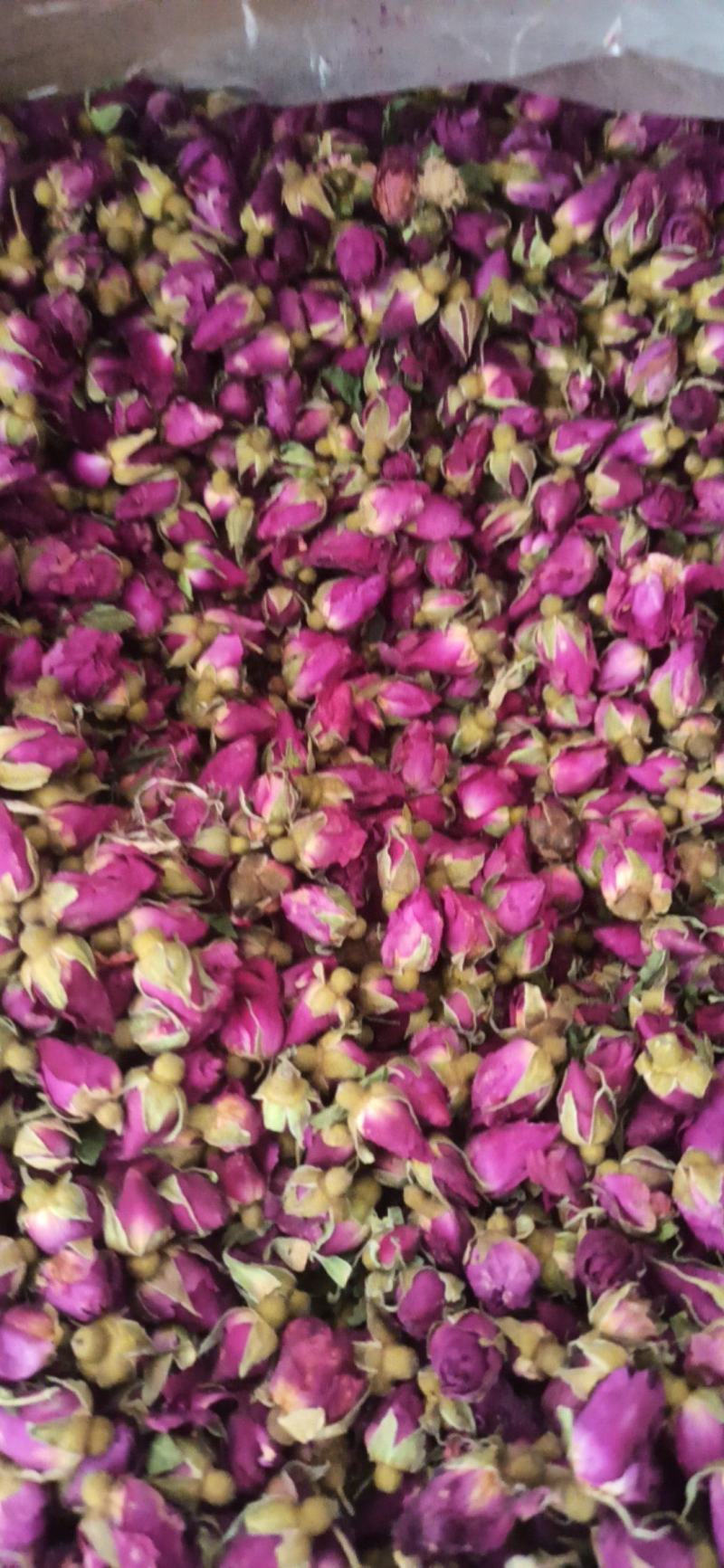 玫瑰花苦水玫瑰批发玫瑰量大从优质量保证