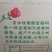 玫瑰花苦水玫瑰批发玫瑰量大从优质量保证