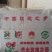 玫瑰花苦水玫瑰批发玫瑰量大从优质量保证
