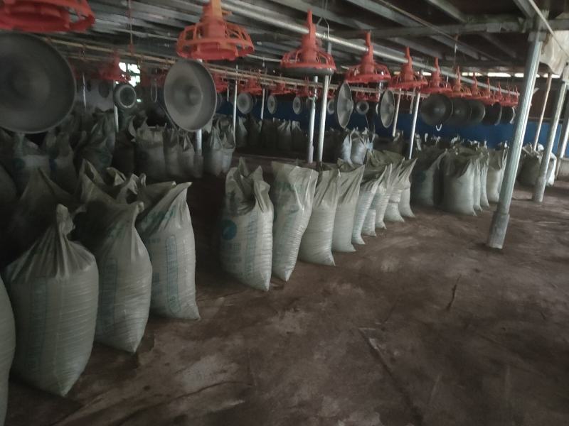 鸡粪长期有货基地直发有纯鸡粪谷壳鸡粪诚信经营需要可联系
