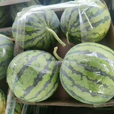 美都西瓜产地直供一手货源充足品质保证价格美丽！