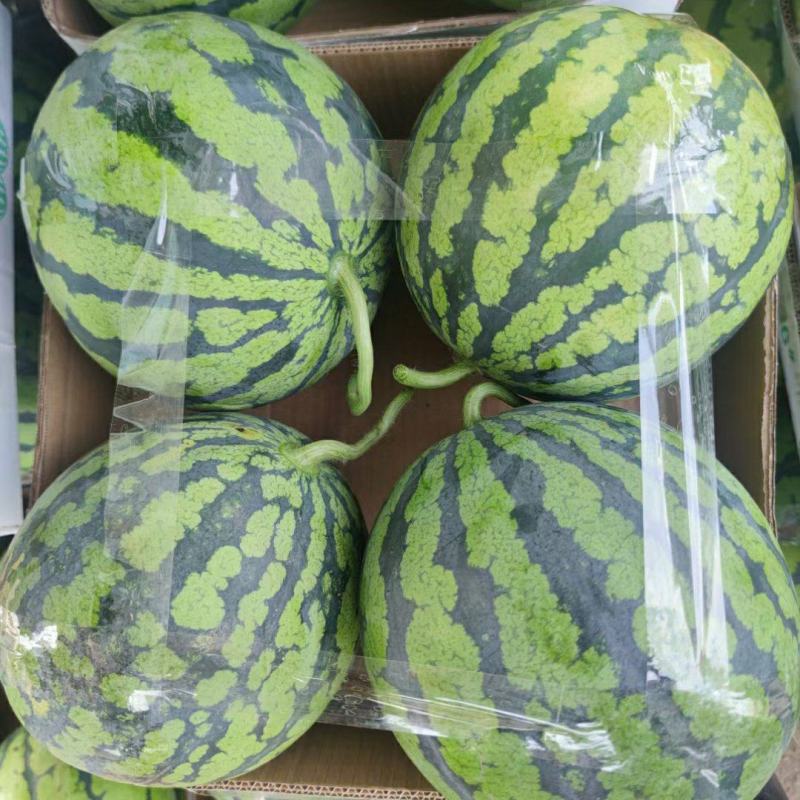 美都西瓜产地直供一手货源充足品质保证价格美丽！
