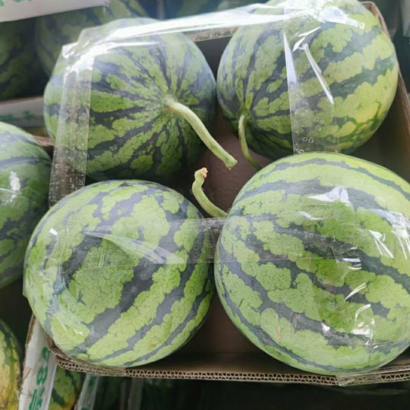 美都西瓜产地直供一手货源充足品质保证价格美丽！