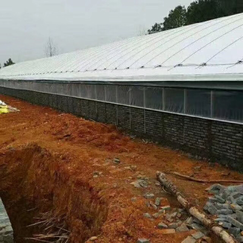 安徽专业设计安装养殖大棚，厂家直发，各种规格齐全