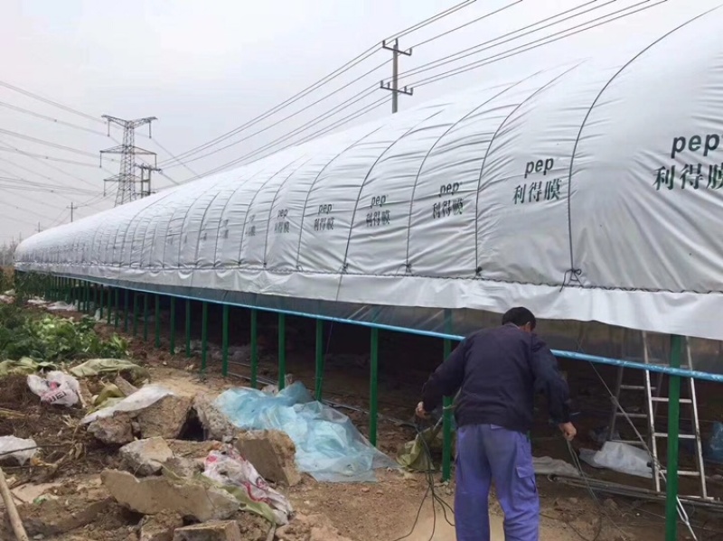 安徽专业设计安装养殖大棚，厂家直发，各种规格齐全