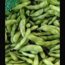 翠绿宝毛豆
