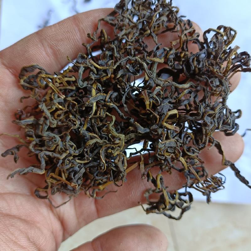赶黄草茶赶黄草叶赶黄草
