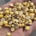 色选黄豆瓣大豆瓣高蛋白出浆好