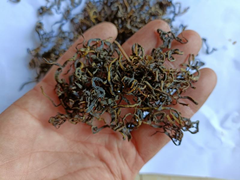赶黄草茶赶黄草叶赶黄草