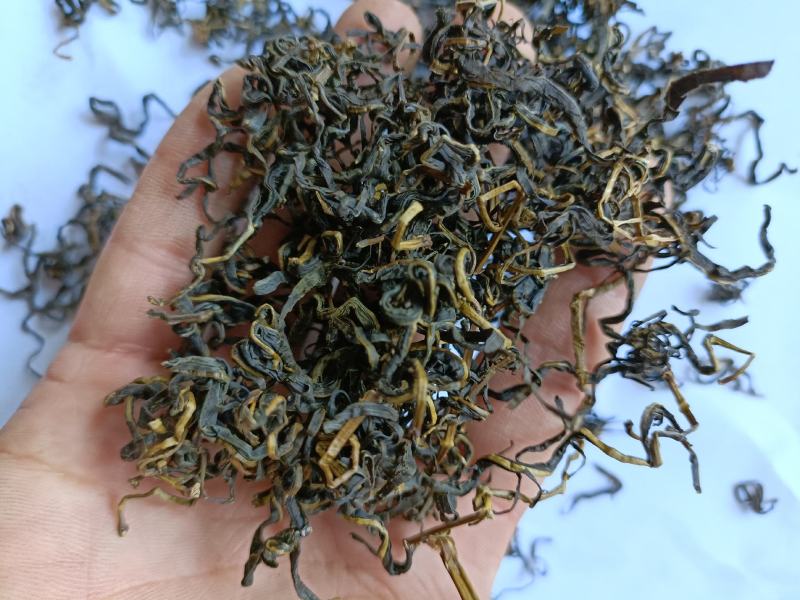 赶黄草茶赶黄草叶赶黄草