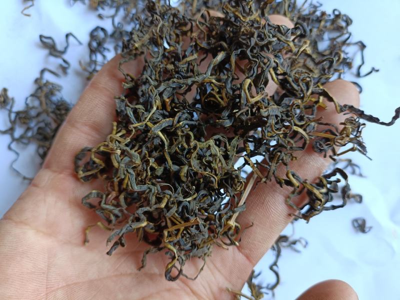 赶黄草茶赶黄草叶赶黄草