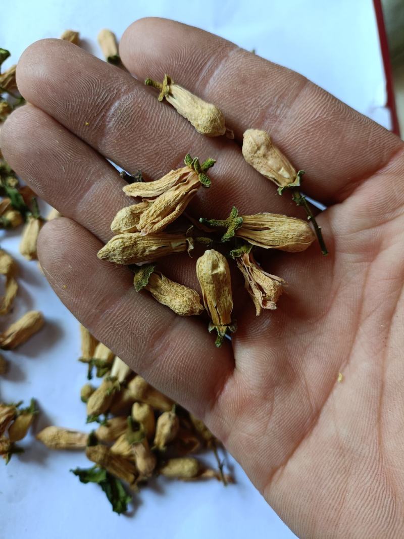 玳玳花正品一手货源批发零售