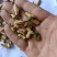 玳玳花正品一手货源批发零售