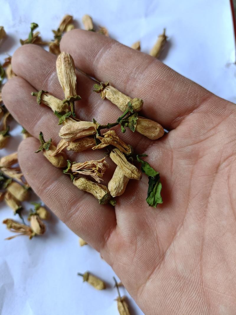 玳玳花正品一手货源批发零售