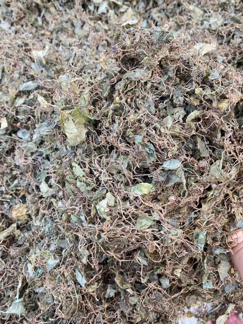 小叶青天葵，水洗货，干净，无发霉变质