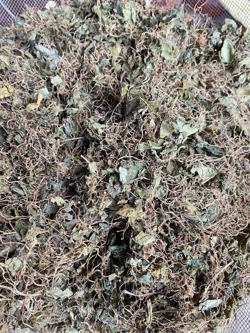 小叶青天葵，水洗货，干净，无发霉变质