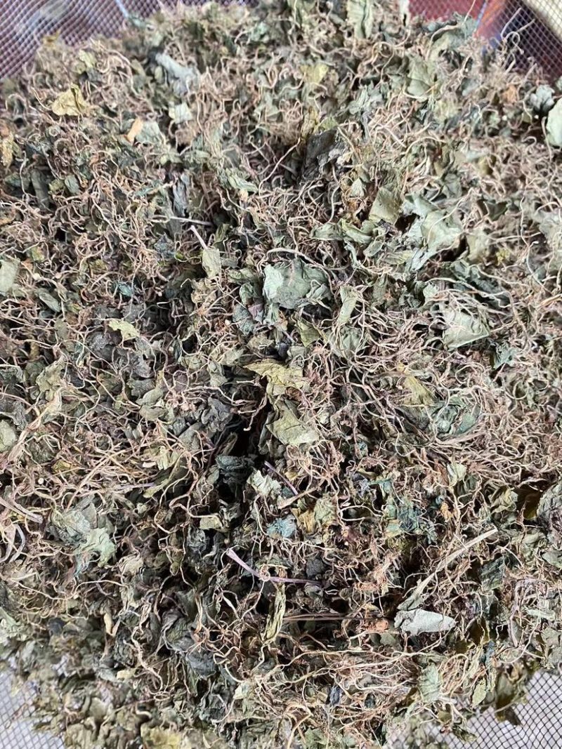 小叶青天葵，水洗货，干净，无发霉变质