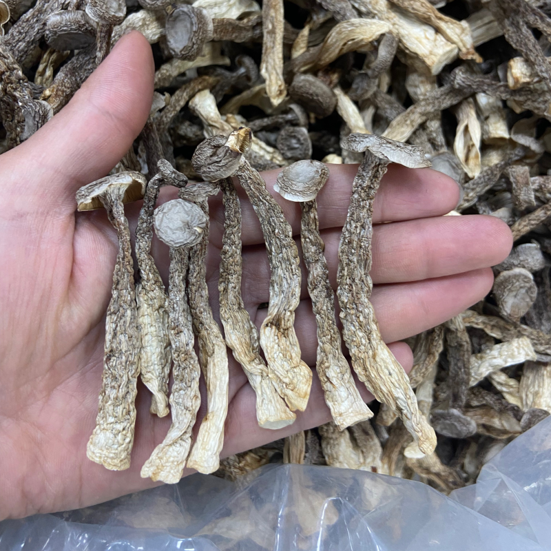 如意情牌鹿茸菇，多种规格，品类齐全