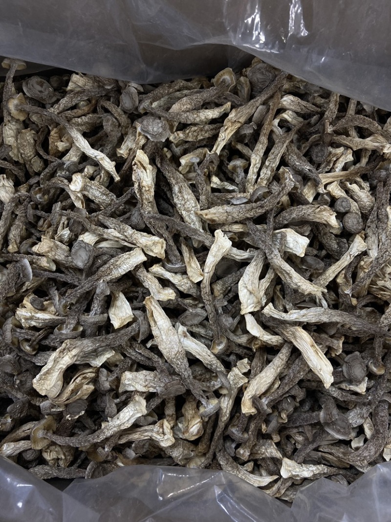 如意情牌鹿茸菇，多种规格，品类齐全