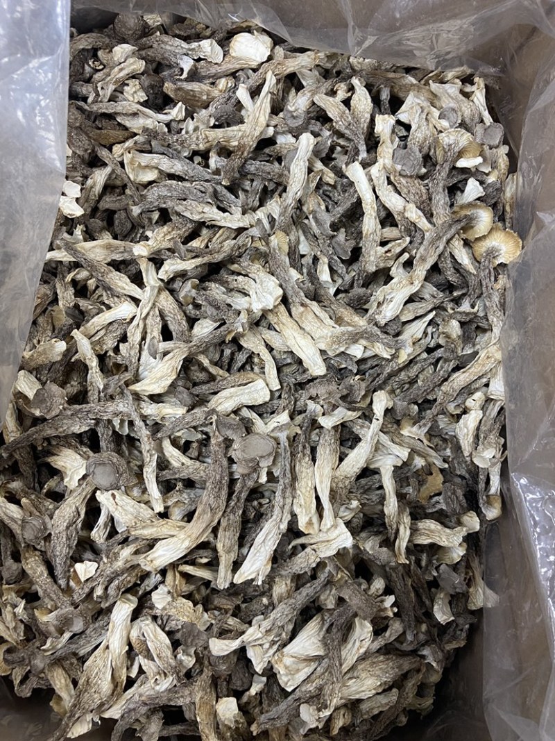 如意情牌鹿茸菇，多种规格，品类齐全