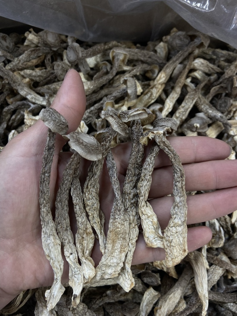 如意情牌鹿茸菇，多种规格，品类齐全