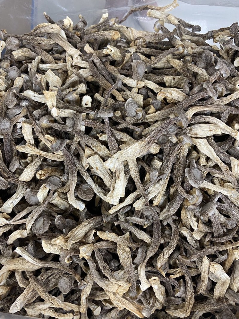 如意情牌鹿茸菇，多种规格，品类齐全