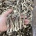 如意情牌鹿茸菇，多种规格，品类齐全