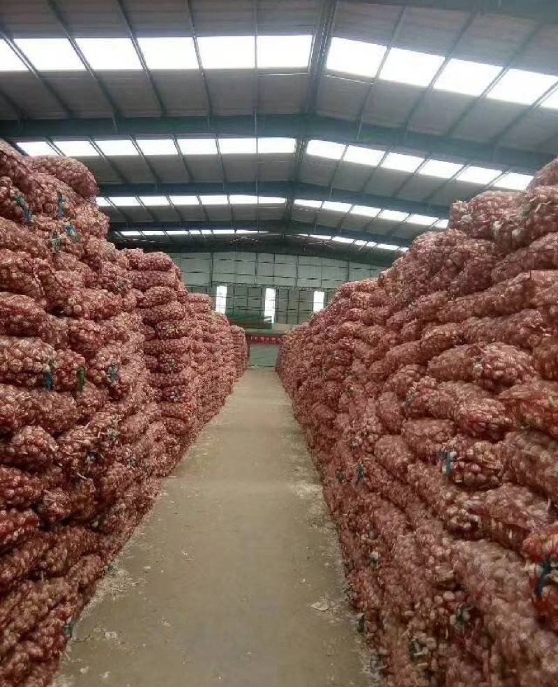 【推荐】蒜片大量出售一手货源需要的老板直接联系我