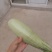 砀山【精选】甜瓜头茬羊角蜜博洋六一甜瓜，精品特甜