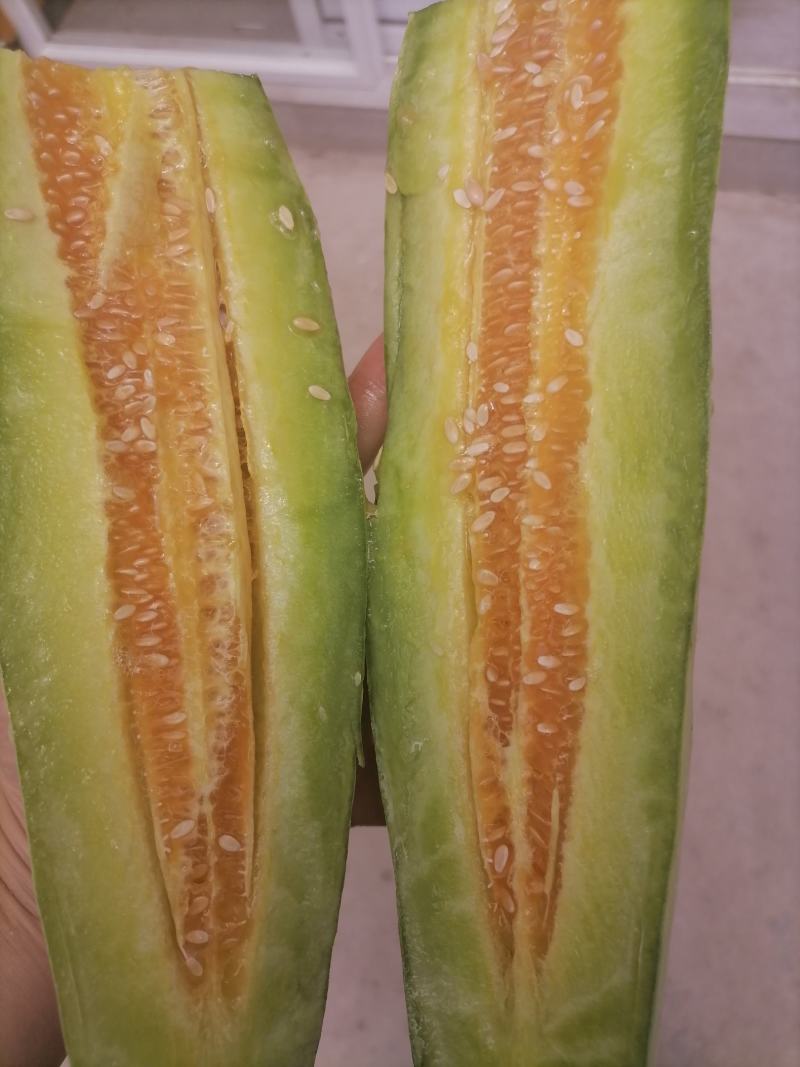 砀山【精选】甜瓜头茬羊角蜜博洋六一甜瓜，精品特甜