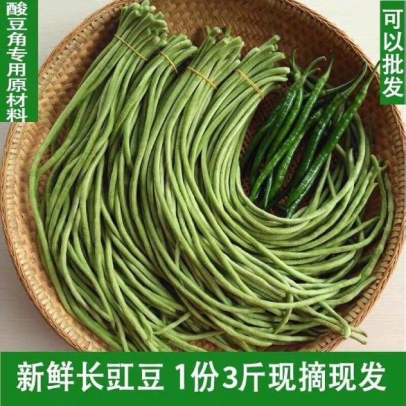 长豆角青条豆角市场货加工厂缸豆看货论价欢迎订购