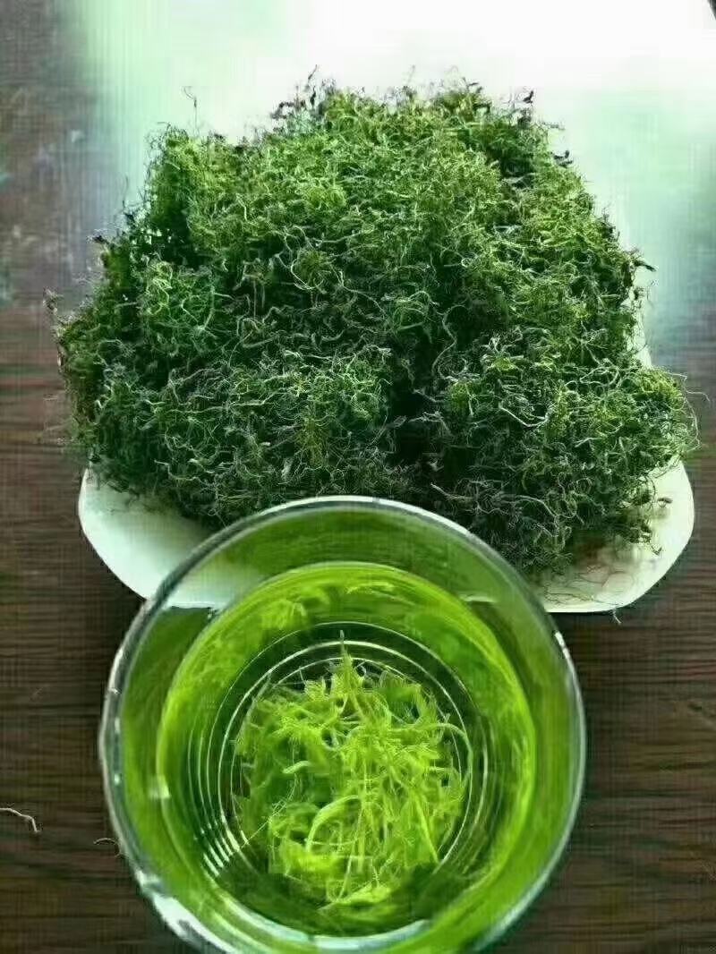 湖北恩施绞股蓝茶叶山区农村绞股蓝