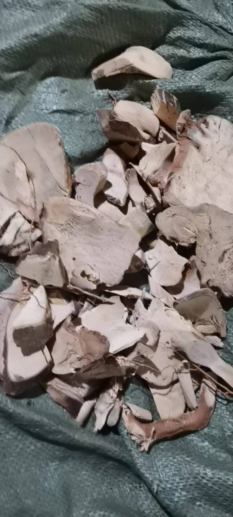 优质岗梅根，广东岗梅根，岗梅枝，广东岗梅根产地直供